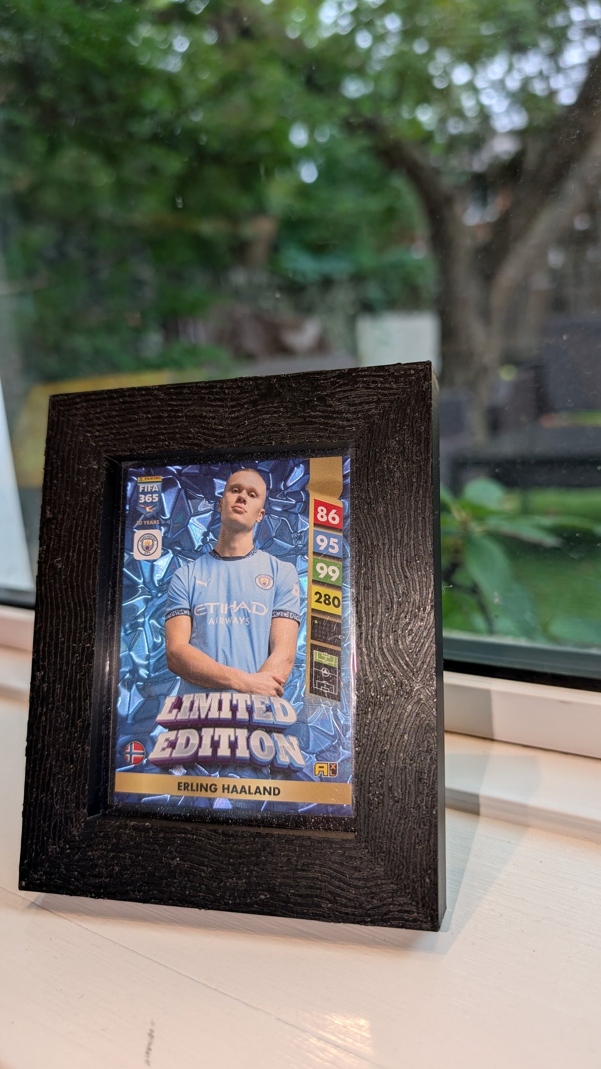 Sports card frame (custom)